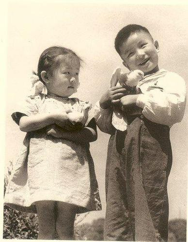 Ȱƽ1952꿹ԮڼһƬƬӡˢƷйҲ˳ʡսָӲĵͼԱߡҰսҽԺ־ԸսʿǼһţС͵ӡˢƷƬսʿƽľĺġ